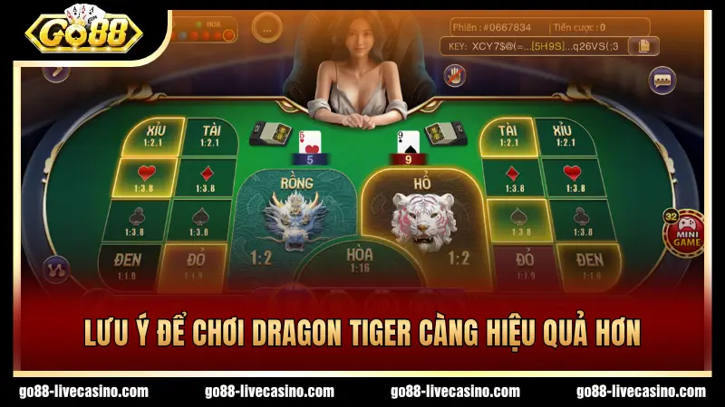 Những lưu ý cần thiết khi tham gia Dragon Tiger